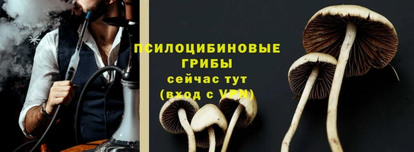 амф Володарск
