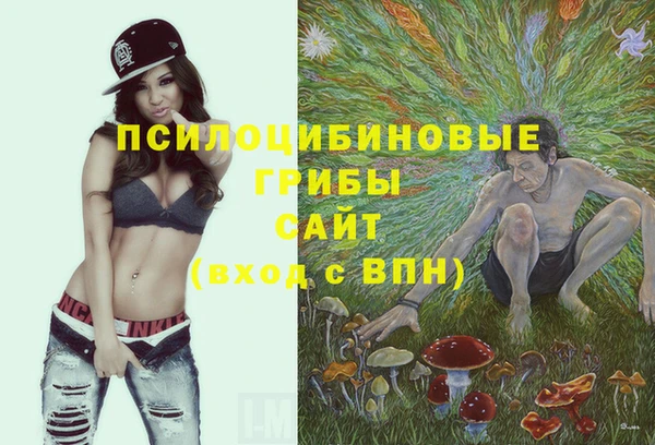 амф Володарск