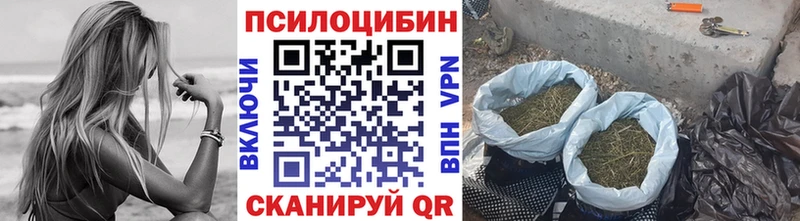 Псилоцибиновые грибы ЛСД  купить закладку  Гай 